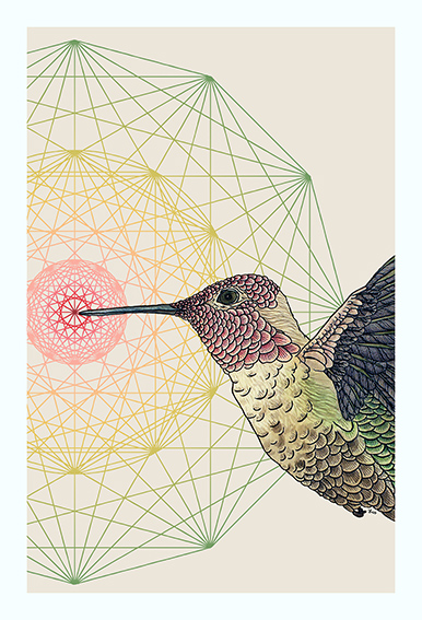 Hummingbird3